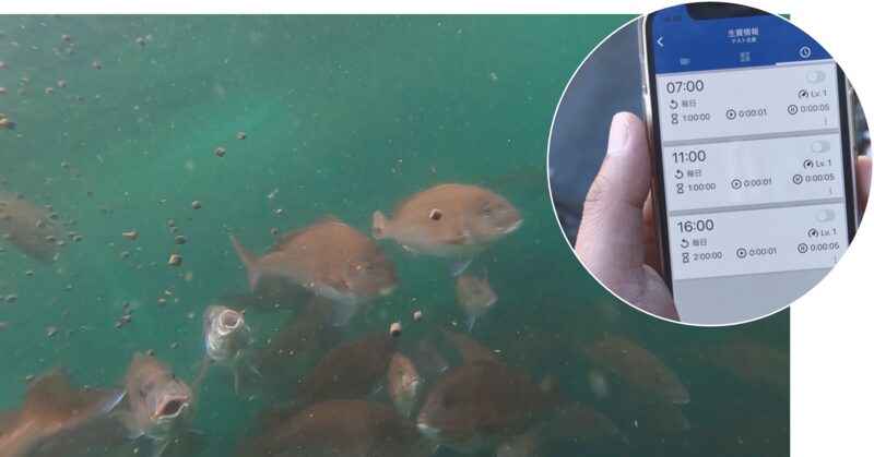 くら寿司 「スマート養殖」 「AI活用事例 面白い」